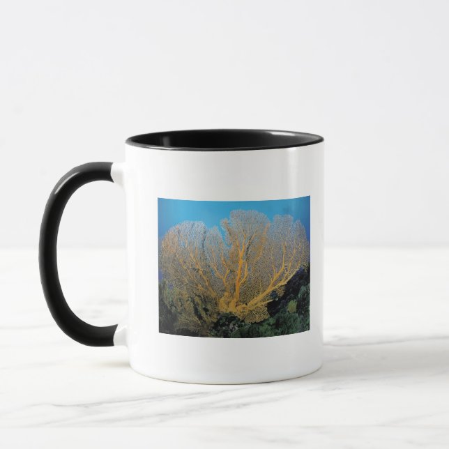 Gorgonian coral mug (Left)