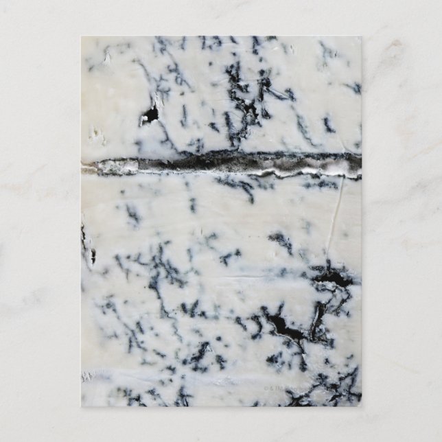 Gorgonzola Cheese Postcard (Front)