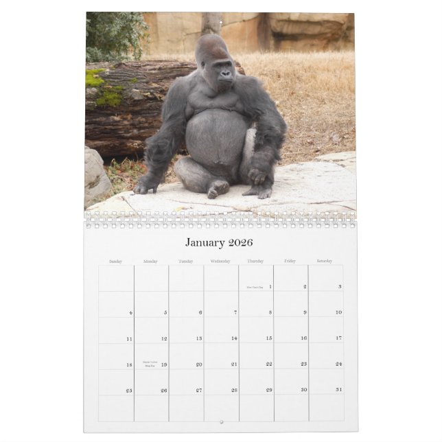 Gorilla_018, Gorilla Calendar (Jan 2026)