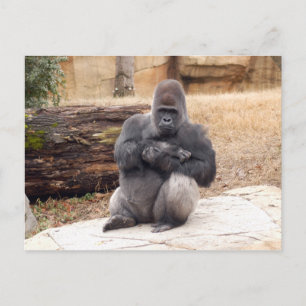 Gorilla_019 Postcard