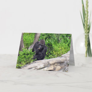 Gorilla (0533) Greeting Card