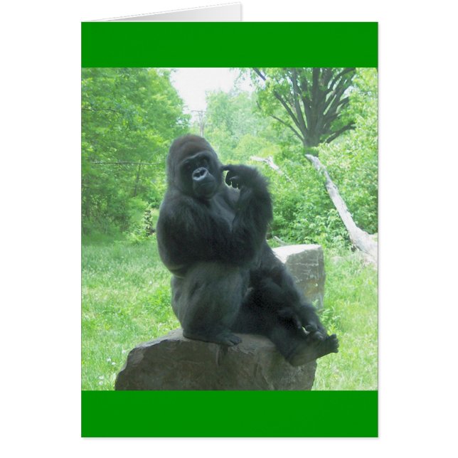 Gorilla #3 (Front)