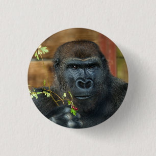 Gorilla And His Berries 3 Cm Round Badge
