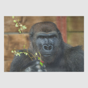 Gorilla And His Berries Tissue Paper