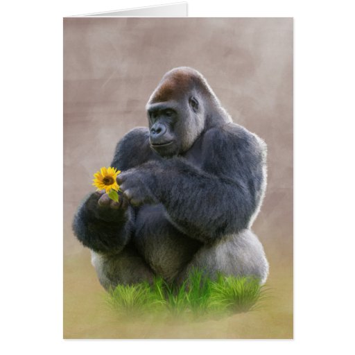 Image of Gorilla and Yellow Daisy