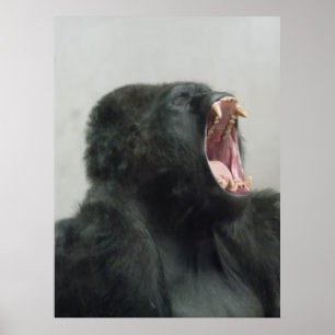 Gorilla, Ape, Monkey, Animal, Nature Wall Poster