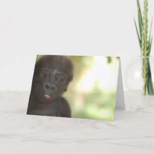 Gorilla Baby Blank Note Card