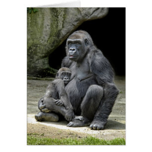 Gorilla Baby & Mum