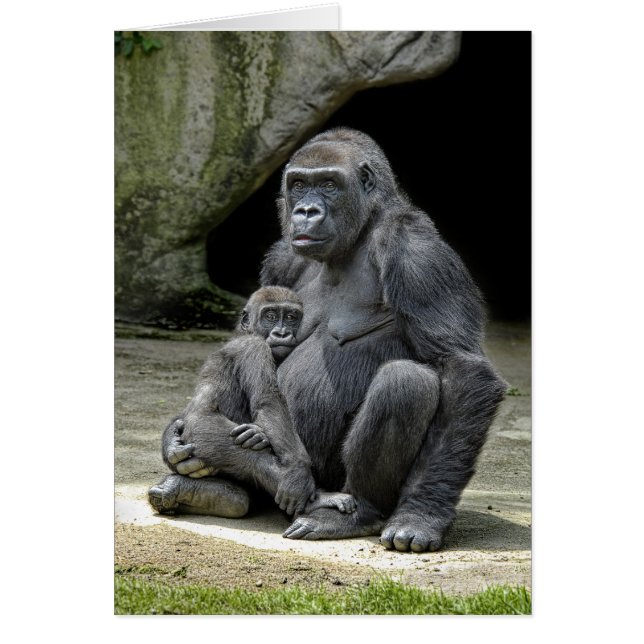 Gorilla Baby & Mum (Front)