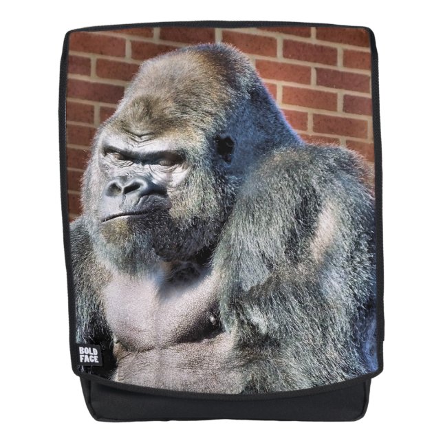 GORILLA BACKPACK (Front)