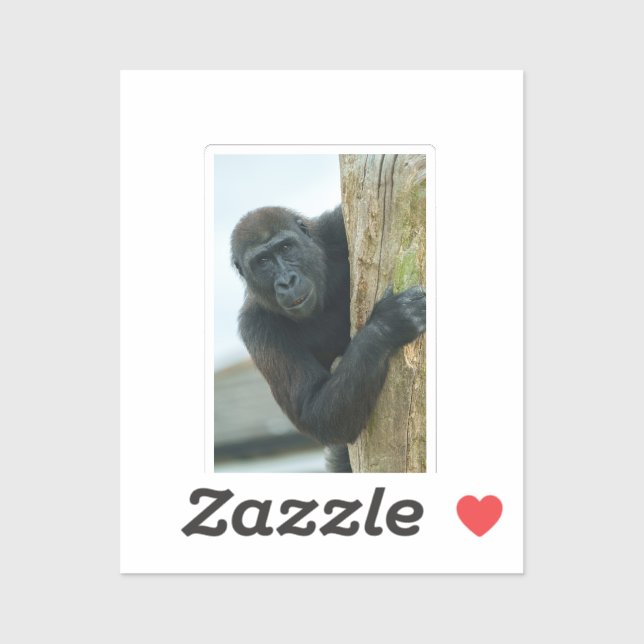 Gorilla Behind The Tree (Sheet)