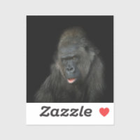 Gorilla Biddy