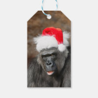 Gorilla Biddy in a Festive Christmas Hat