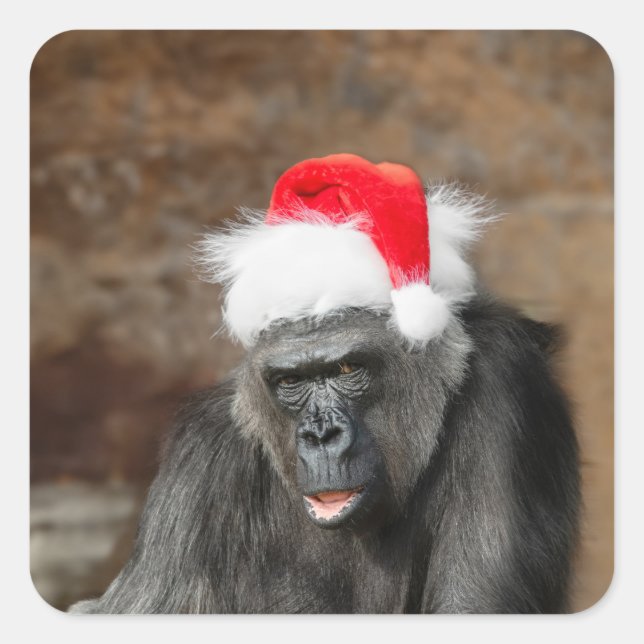 Gorilla Biddy in a Festive Christmas Hat Square Sticker (Front)