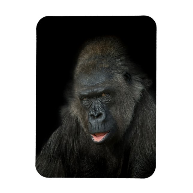 Gorilla Biddy Magnet (Vertical)