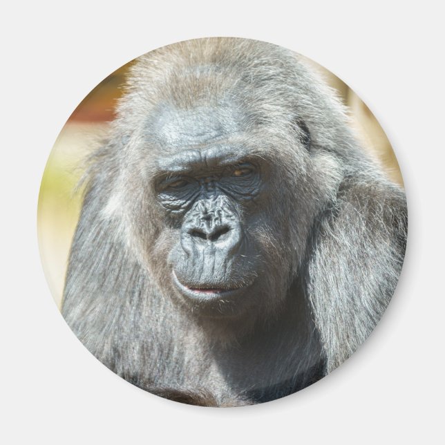 Gorilla Biddy Magnet (Front)