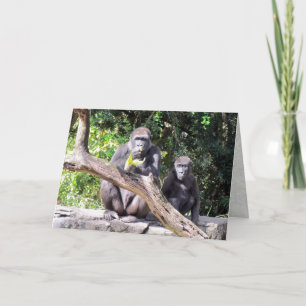 Gorilla Birthday Card
