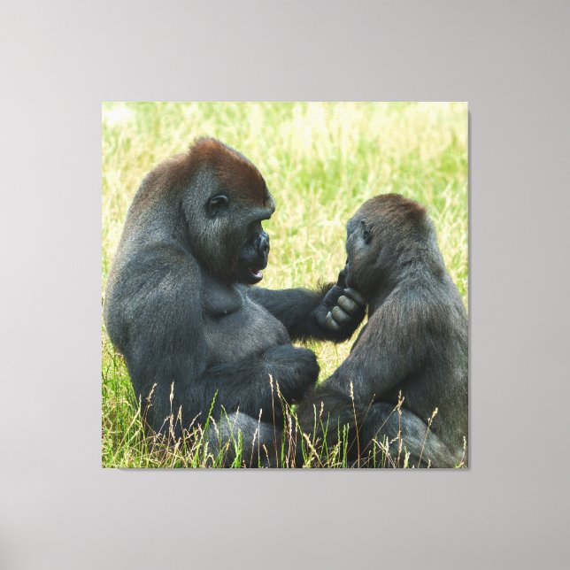 Gorilla Brother's Forever Canvas Print (Front)