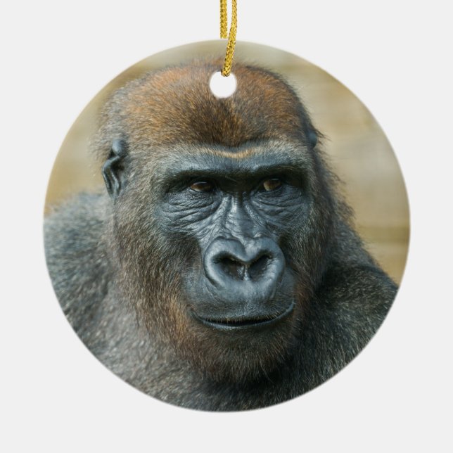 Gorilla Brothers - GoBro Ceramic Tree Decoration (Front)