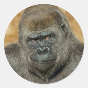 Gorilla Classic Round Sticker