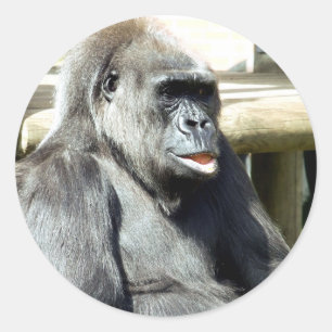 GORILLA CLASSIC ROUND STICKER