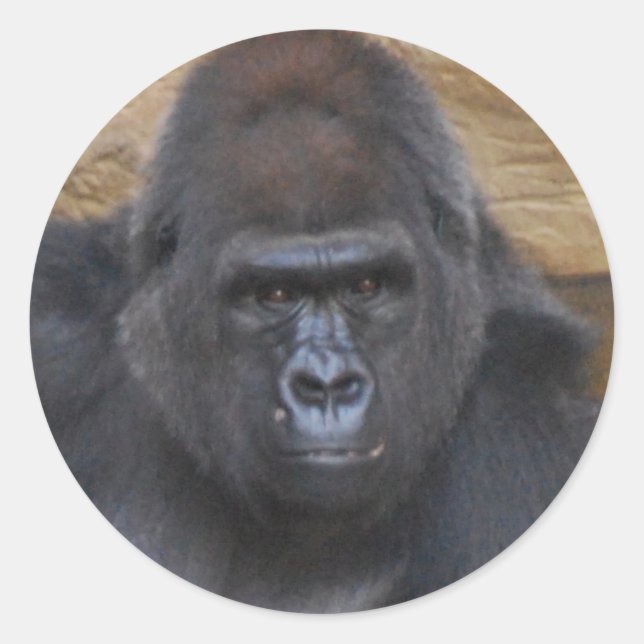 gorilla classic round sticker (Front)