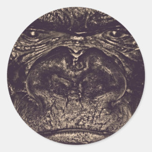Gorilla, Close Up Face (gfaceacc) Classic Round Sticker