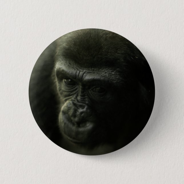 Gorilla Closeup.png 6 Cm Round Badge (Front)