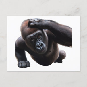 Gorilla doing push-ups. postcard