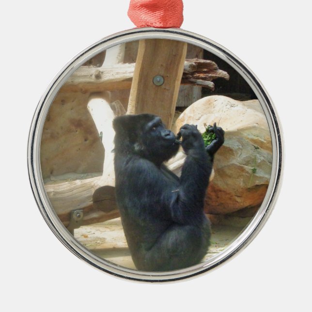 Gorilla eating his lunch, Animal, Wildlife, Ape Metal Tree Decoration (Front)