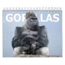 Gorilla Family 2027 - Silverback Oumbi Troop