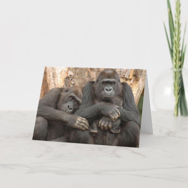 Gorilla Family Card (Front)