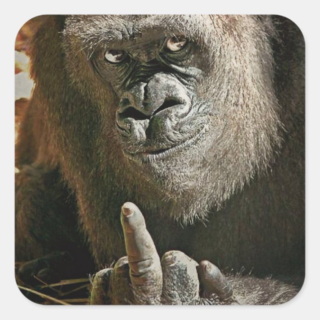 Gorilla Finger Square Sticker (Front)