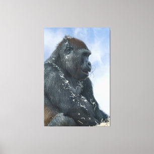 Gorilla Getting Messy Canvas Print
