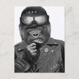 Gorilla Guy Postcard