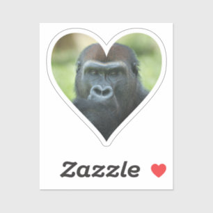 Gorilla Heart