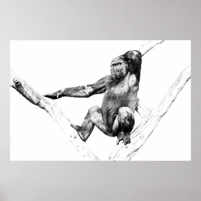 Gorilla in Shadows Poster (Front)