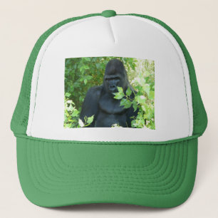 gorilla in the bush trucker hat
