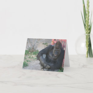 Gorilla in the Sun Thank You Card