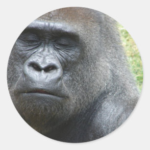Gorilla Look Stickers