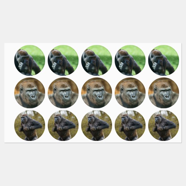 Gorilla Lope (Round Design) (Sheet)