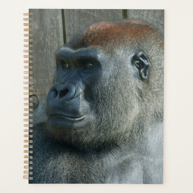 Gorilla Lope & Shufai Planner (Front)