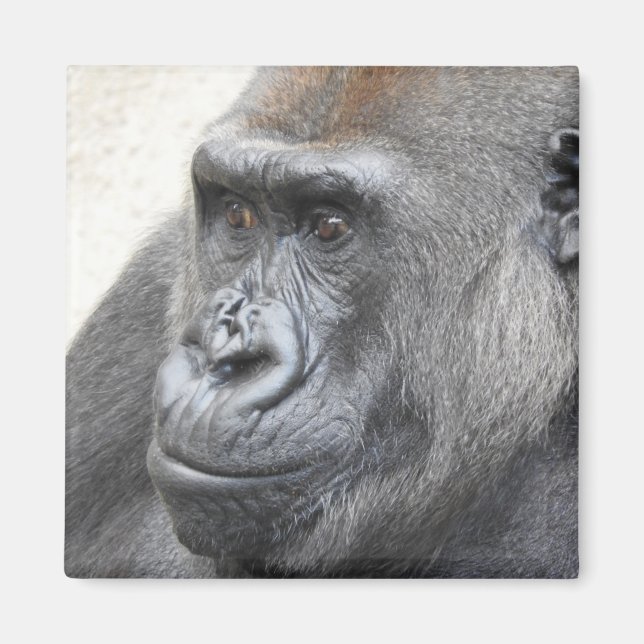 Gorilla Magnet (Front)