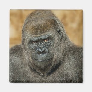 Gorilla Magnet