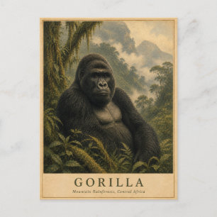 Gorilla Mountain Rainforest VINTAGE Postcard