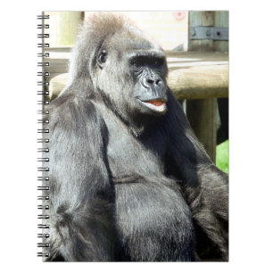 GORILLA NOTEBOOK