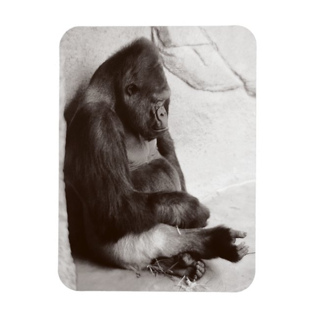 Gorilla Photography Sleeping Magnet (Vertical)