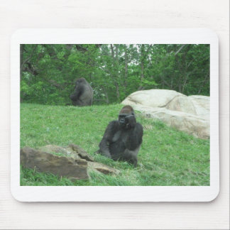 Gorilla pic mouse mat