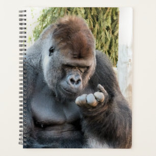 GORILLA PLANNER