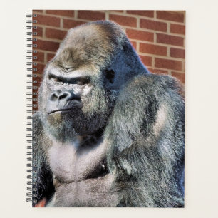 GORILLA PLANNER